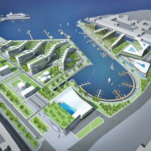 刘先生 / 常务副总经理